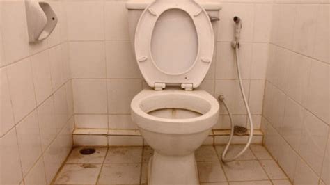 Descubre el significado de soñar con un baño lleno de excremento